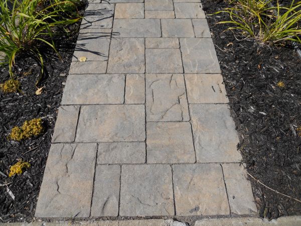 Stamped Concrete Staining in Ankeny